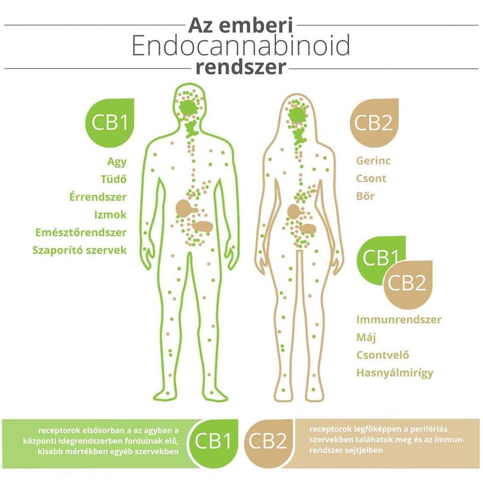 Hempworx CBD olaj rendelés, info Dobi Kriszti 30/6838050